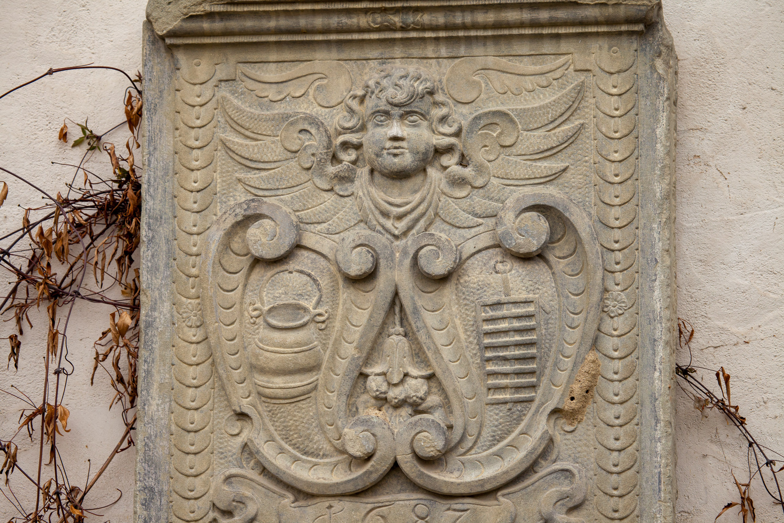 20110313133234 IMG 7241